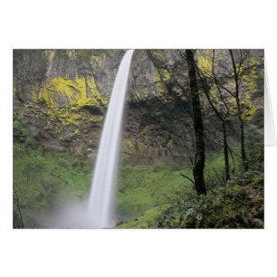 OR, desfiladero del río Columbia, Elowah Falls, Mc