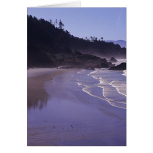 OR, Ecola SP, Indian Beach con niebla matutina