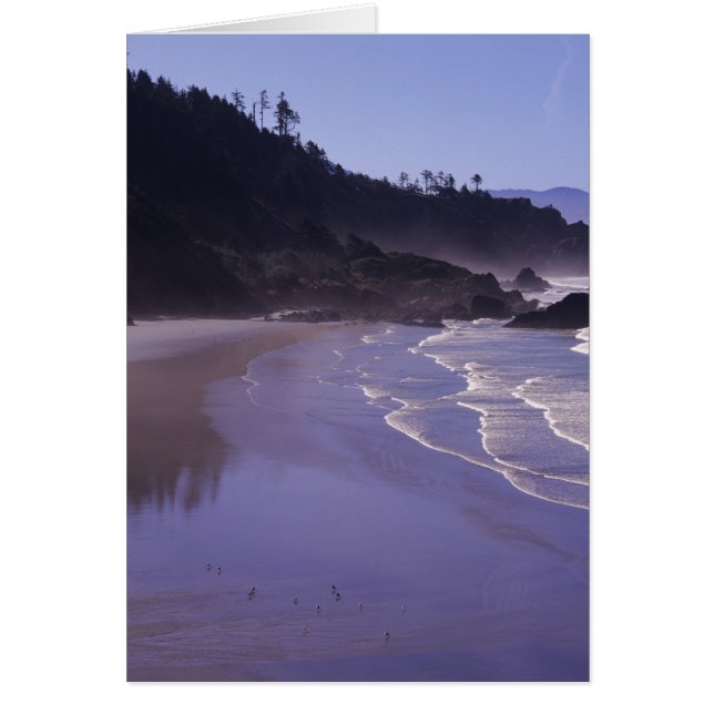 OR, Ecola SP, Indian Beach con niebla matutina (Frente)