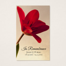 Oración conmemorativa del funeral de la Primavera 