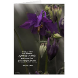 Oración de Cherokee, Columbine a la luz del sol