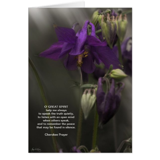 Oración de Cherokee, Columbine a la luz del sol (Frente)