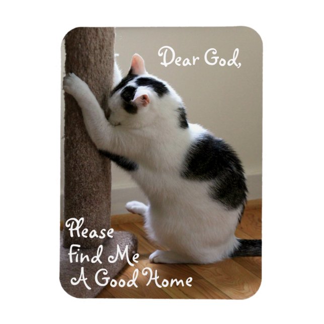 Oración de gato sin hogar - imán (Vertical)