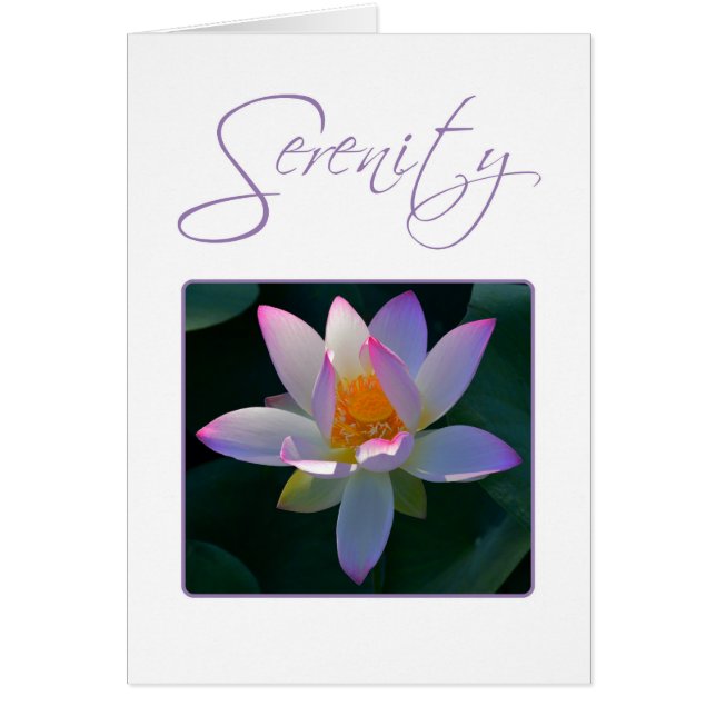 Oración de Serenity Pink Lotus Flower (Frente)