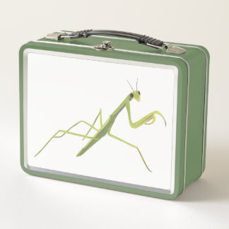 Orando a Mantis en cajas de almuerzo de fondo blan