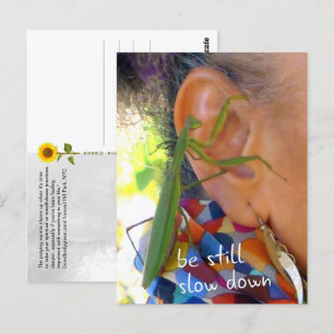 Orando a Mantis - sigue, despacio - postal