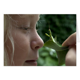 Orando Mantid