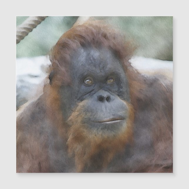 Orang acuarela (Anverso)