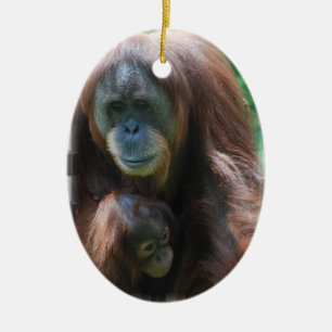 Orangután con el ornamento del bebé