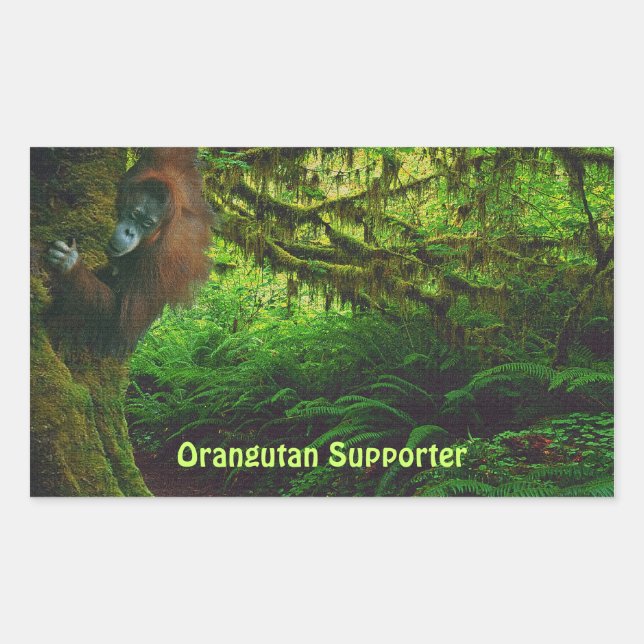 Orangutan lindo jugando en los Pegatinas de la sel (Anverso)