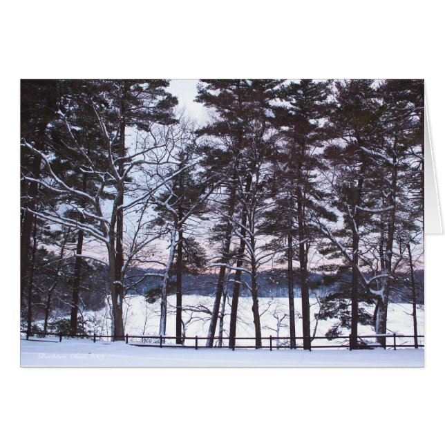 Oratorios, las operas, en naturaleza. (Anverso (Horizontal))