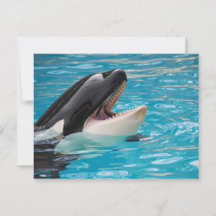 Orca, tarjeta postal de ballena asesina