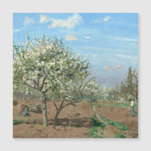 Orchard en Bloom, Louveciennes Camille Pissarro
