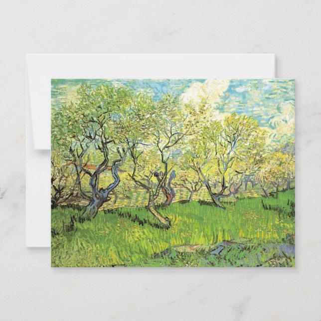 Orchard en flor por Vincent van Gogh (Anverso)
