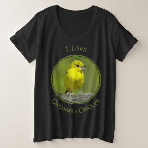 Orchard Oriole - Foto original