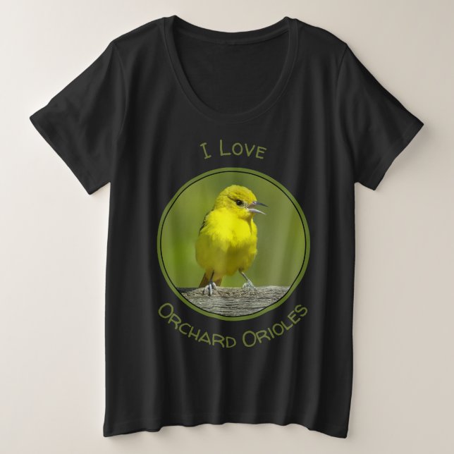Orchard Oriole - Foto original (Anverso del diseño)