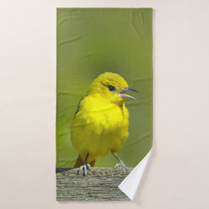 Orchard Oriole - Foto original
