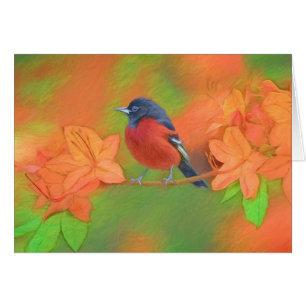 Orchard Oriole Songbird Pintura original de aves