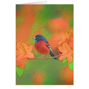 Orchard Oriole Songbird Pintura original de aves