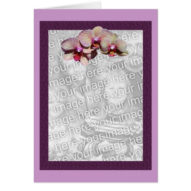 Orchids Purple Floral Photo Card (Frente)