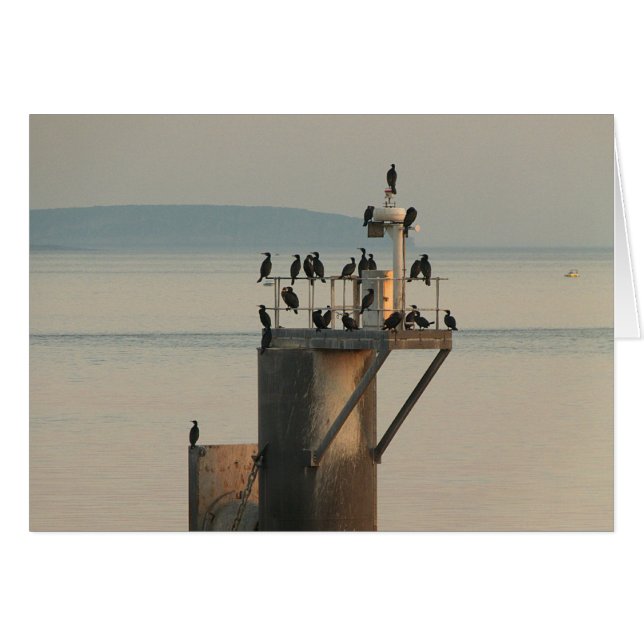 Orden de compra (Anverso (Horizontal))