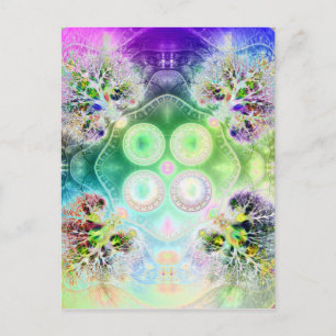 Orden en la raíz de todas las postales caos V2