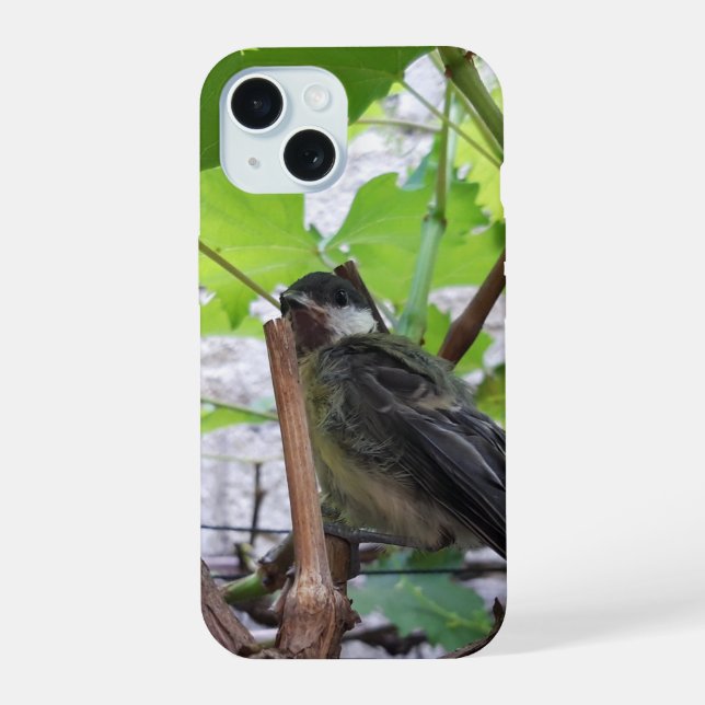 Ordena mi pájaro el Parus Major (Reverso )