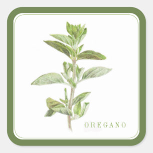 OREGANO FRESCO Pegatinas cuadrados grandes (+texto