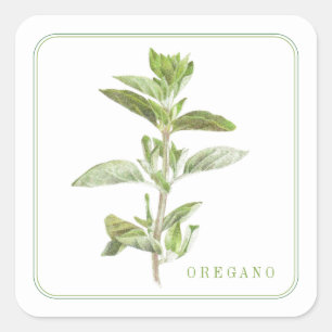 OREGANO FRESCO Pegatinas cuadrados pequeños