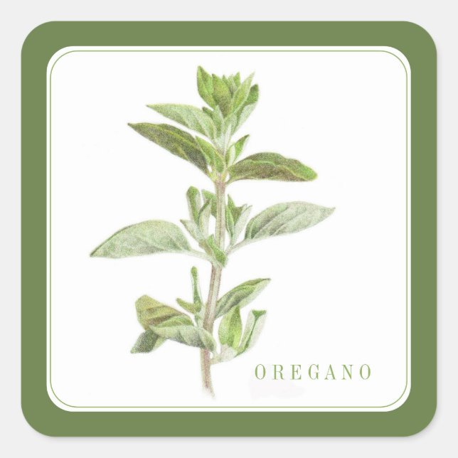 OREGANO FRESCO Pegatinas cuadrados pequeños (+text (Anverso)