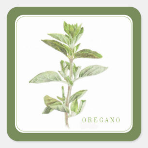 OREGANO FRESCO Pegatinas cuadrados pequeños (+text