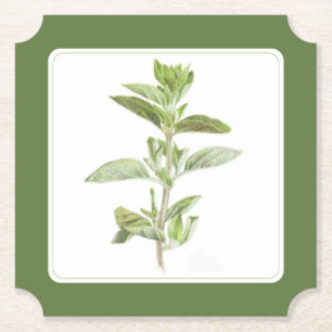 ORÉGANO FRESCO Posavasos de papel (-texto) Verde