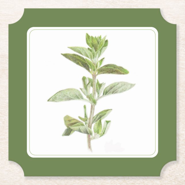 ORÉGANO FRESCO Posavasos de papel (-texto) Verde (Anverso)