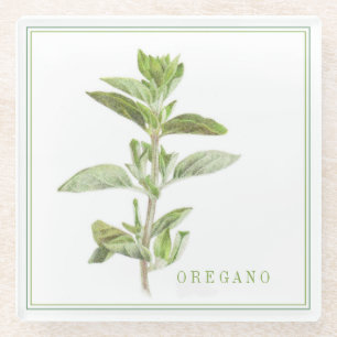ORÉGANO FRESCO Posavasos para Bebidas de Vidrio (+