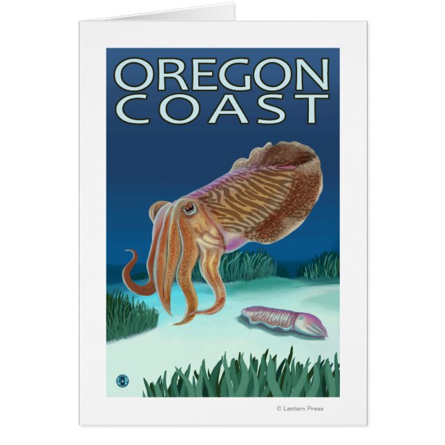 Oregon Coast Cuttlefish (Frente)