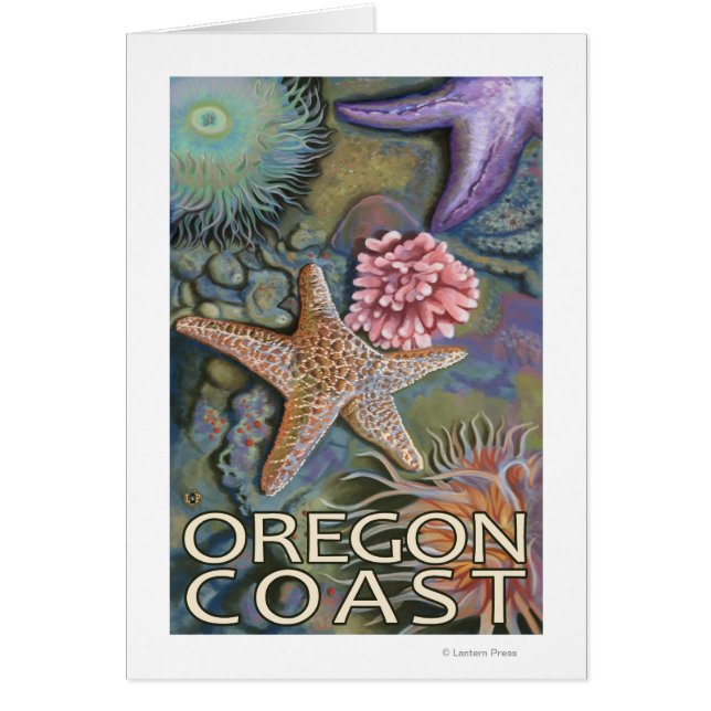 Oregon Coast Tidepool (Frente)