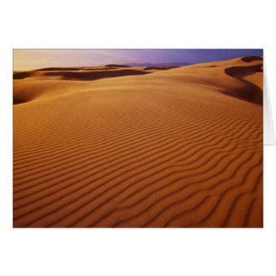 Oregon Dunes National Recreation Area, Oregon en