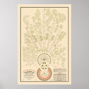 Organigrama de la New York & Erie Railroad - Claro