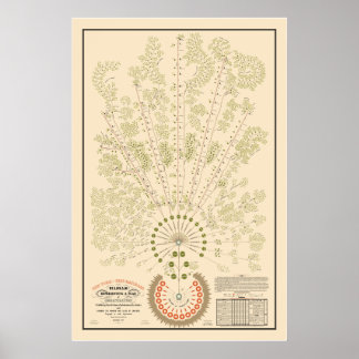 Organigrama de la New York & Erie Railroad - Claro