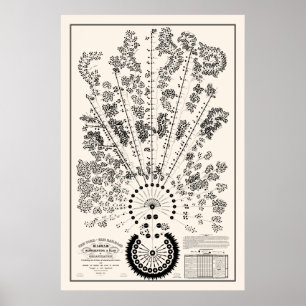 Organigrama de la New York & Erie Railroad - Liger