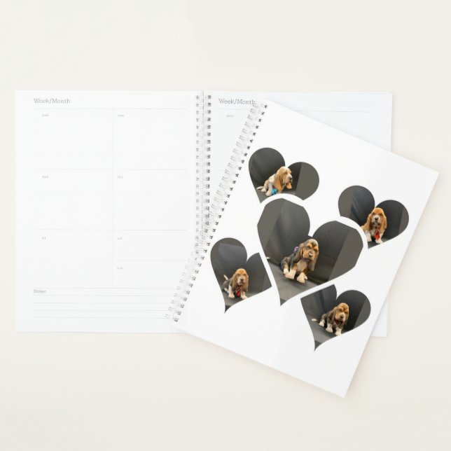 Organizador de cachorros del hound de Basset (Demostración)