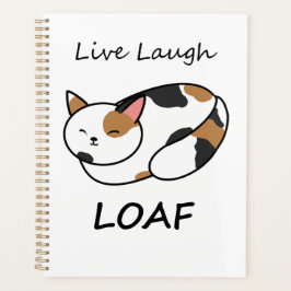 Organizador de gatos de Loaf Calico en vivo