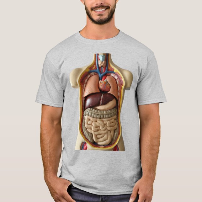 Órganos internos de anatomía Camiseta de persona t (Anverso)