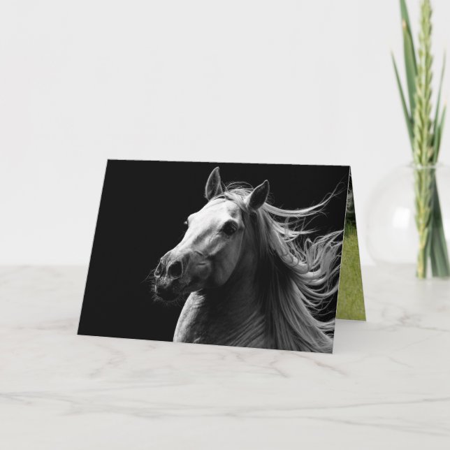 Orgullo del Stallion Blanco - Tarjeta de saludo a  (Anverso)