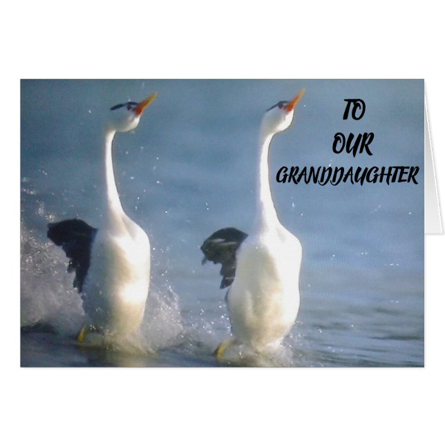 ORGULLOSO DE USTEDES **GRANDDAUGHTER** DESEA EL FU (Anverso (Horizontal))