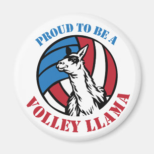 Orgulloso ser un imán de la llama del voleo