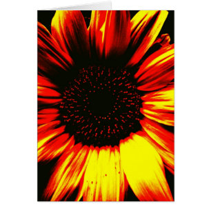original fotográfica del arte del girasol amarillo