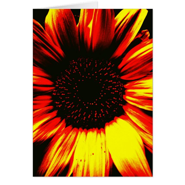original fotográfica del arte del girasol amarillo (Frente)