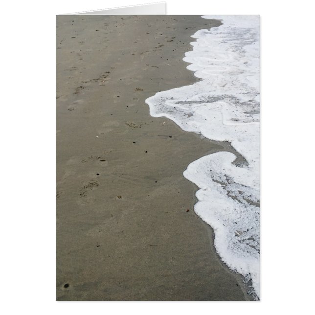 orilla de nieve (Frente)