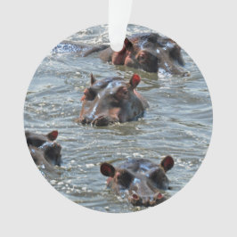 Ornamento 1 del safari